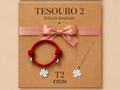 T2, conjunto tesouro nr2